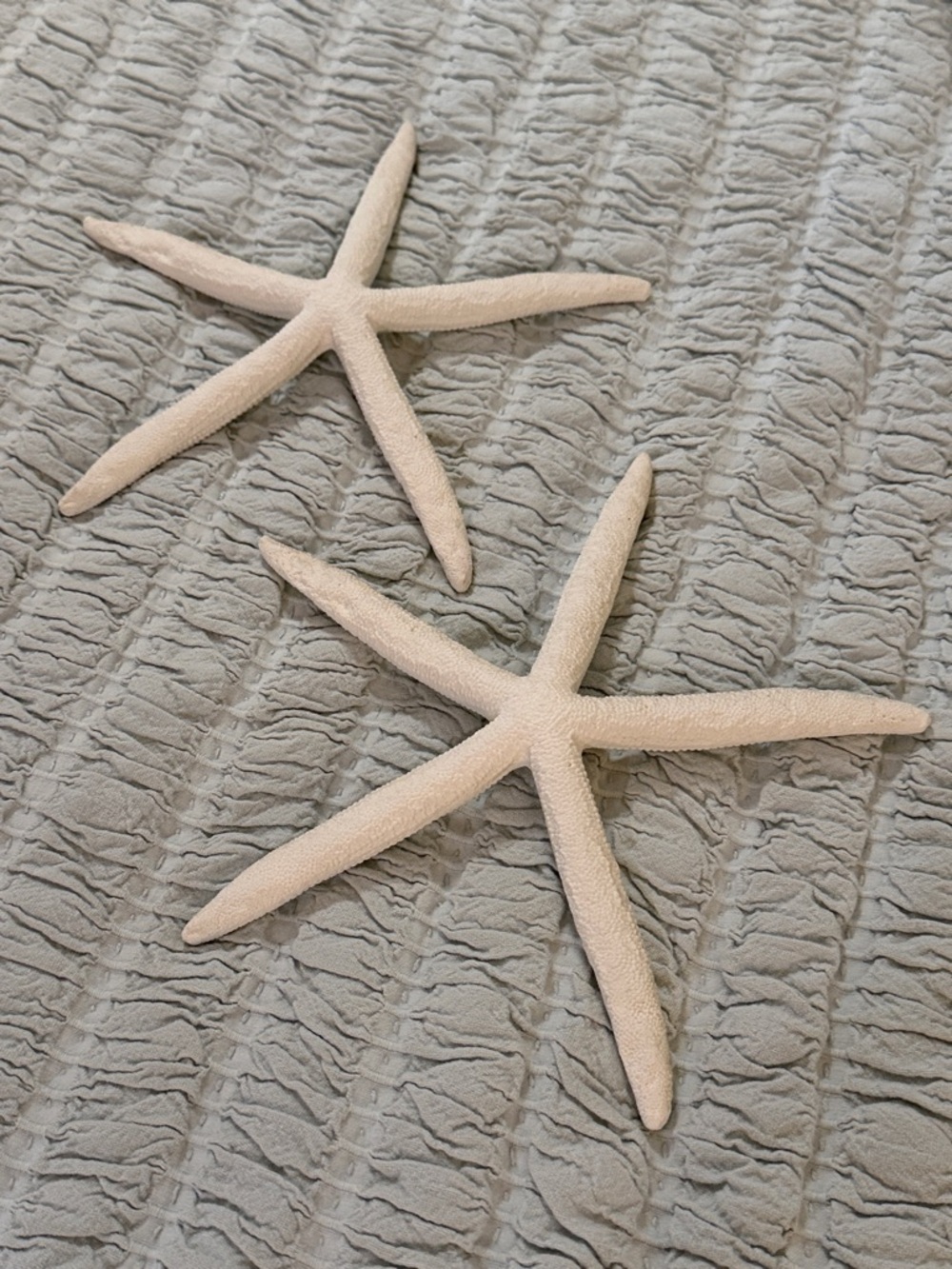 Realistic Starfish Decor Pair-EUC